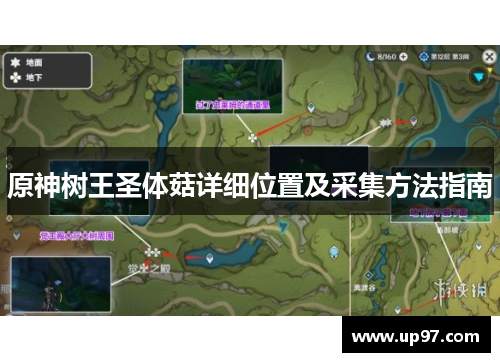 原神树王圣体菇详细位置及采集方法指南 原神树王圣体菇详细位置及采集方法指南